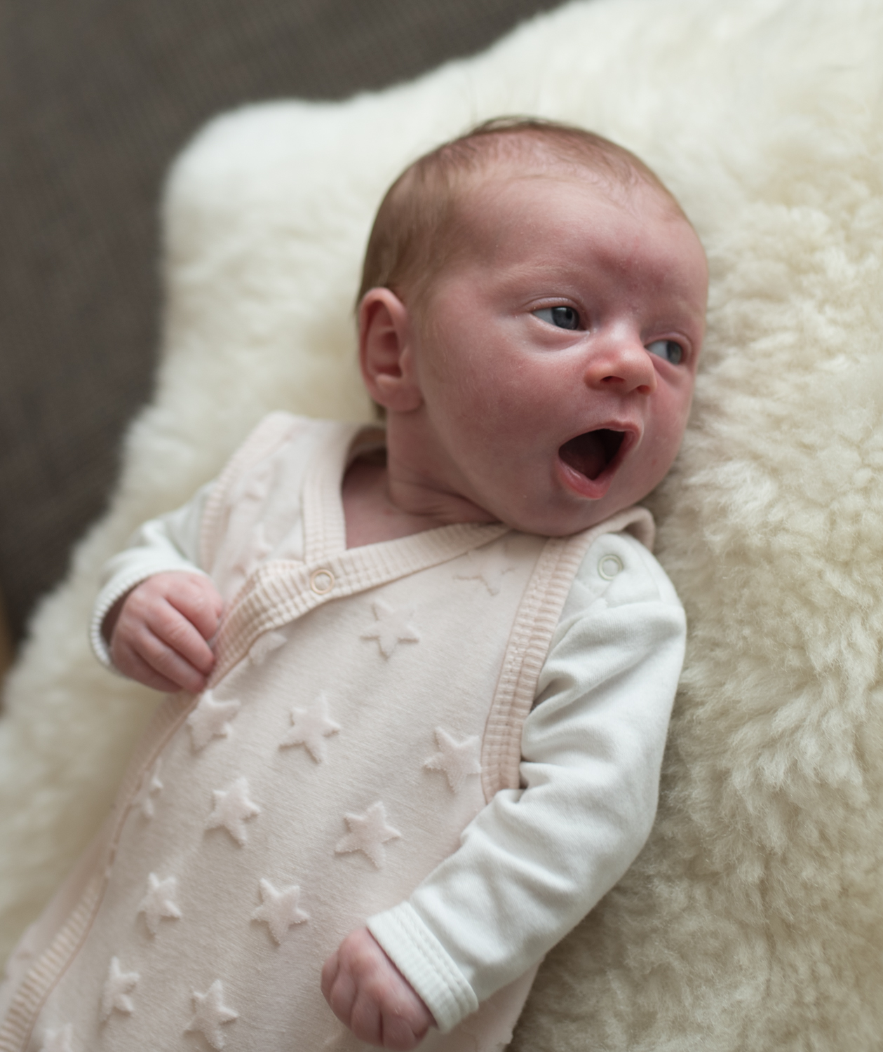 Newborn IDA+ Familie Wieden (161 von 287)