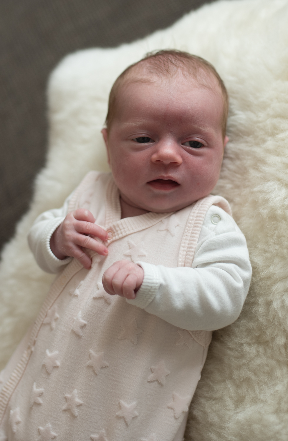 Newborn IDA+ Familie Wieden (165 von 287)